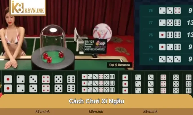 cach choi xi ngau