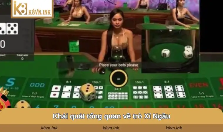 Khái quát tổng quan về trò xí ngầu